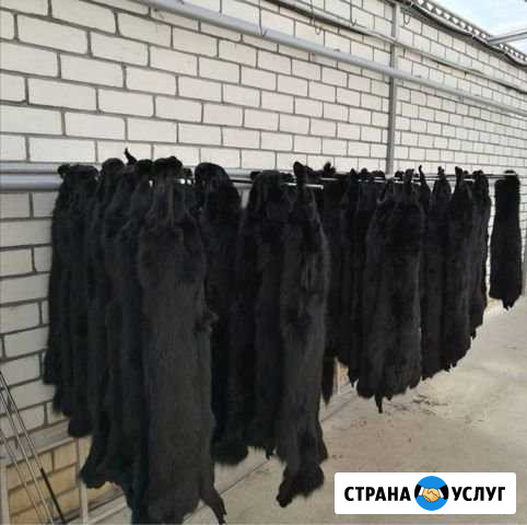 Выделка шкур Гулькевичи - изображение 1