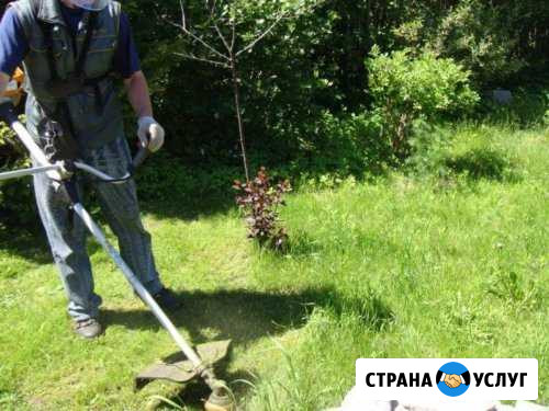 Спил деревьев покос травы Будённовск - изображение 1