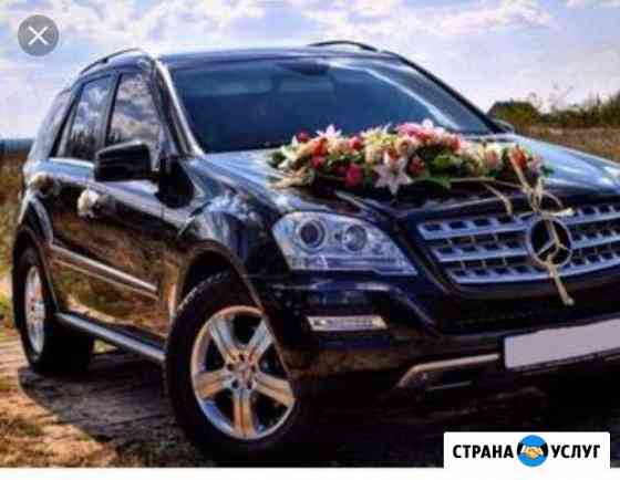 Аренда авто с водителем Волгоград