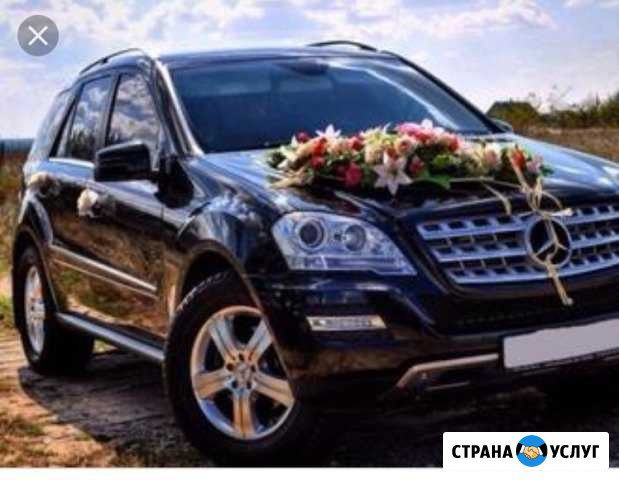 Аренда авто с водителем Волгоград - изображение 1