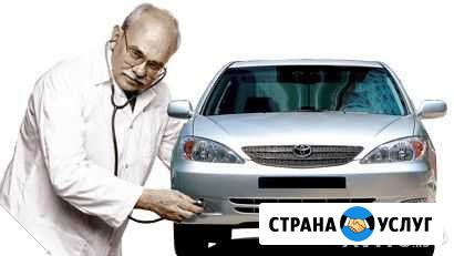 Компьютерная диагностика, корректировка пробега, к Камень-на-Оби - изображение 1