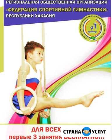 Спортивная гимнастика Абакан - изображение 1