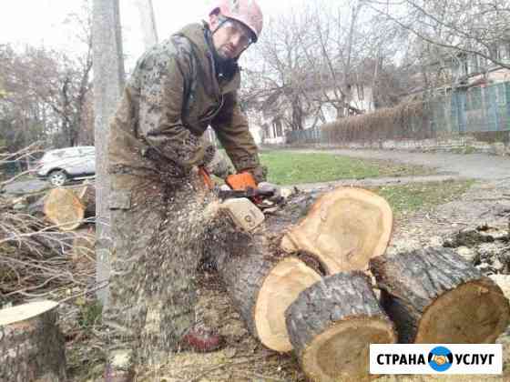 Спил деревьев Уборка территорий Земляные работы Ярославль