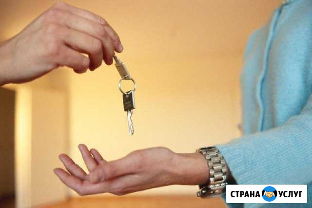 Помогу сдать квартира для собственника бесплатно Орехово-Зуево - изображение 1
