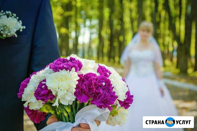Свадебный фотограф Ельня - изображение 1