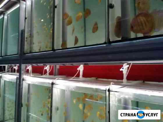 Обслуживание аквариумов Новосибирск