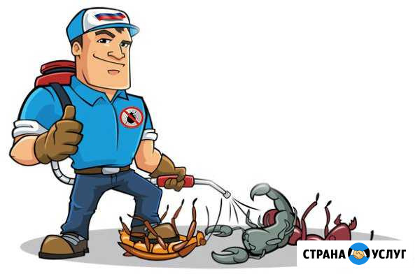 Уничтожение клопов, комаров, клещей, тараканов Волжский Волгоградской области - изображение 1