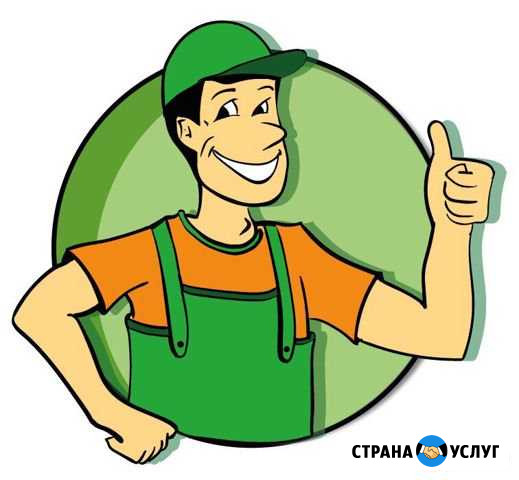 Грузчики Выборг Выборг - изображение 1