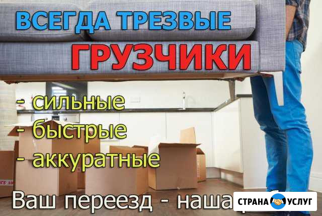 Грузчики, Грузоперевозки, Переезды Орехово-Зуево - изображение 1
