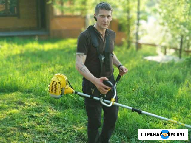 Покос травы. Спил деревьев. Расчистка участка Новосибирск - изображение 1