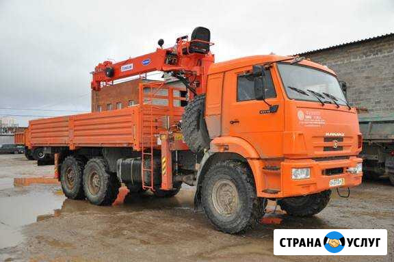 Аренда манипулятора-вездехода Чехов - изображение 1
