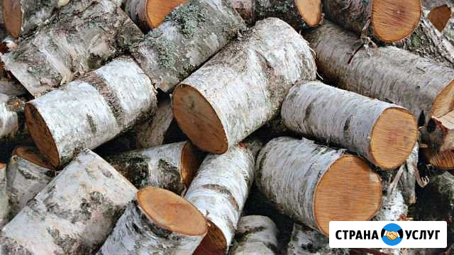 Дрова берёзовые Междуреченск - изображение 1