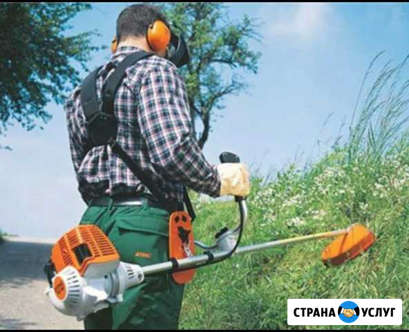 Покос Азов - изображение 1