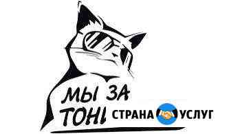 Black auto Оренбург
