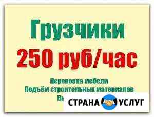 Грузчики Вологда