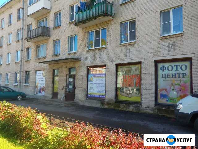 Служба Принт-Сервис Петергоф, Стрельна, Ломоносов Санкт-Петербург - изображение 1