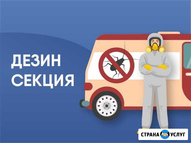 Дезинфекция.Уничтожение клопов, тараканов,клещей Воронеж - изображение 1