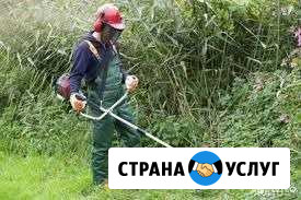 Покос травы, корчевание пней, спил деревьев Невинномысск - изображение 1
