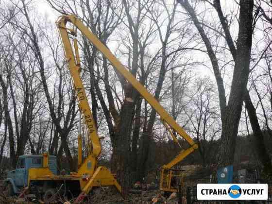 Спил/кронирование деревьев в Брянске и области Брянск