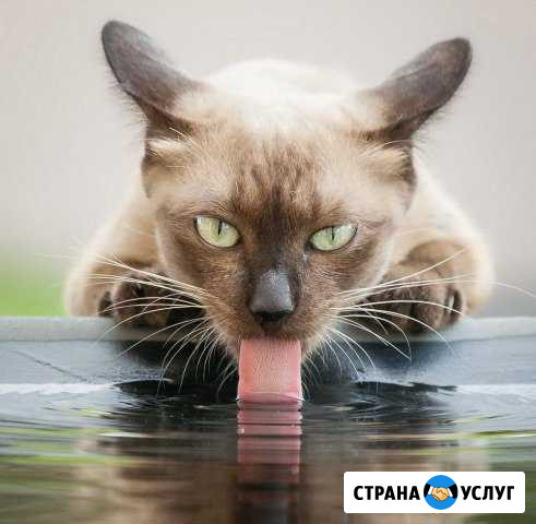 Чистка скважин, подъем оборванных насосов Раевская - изображение 1