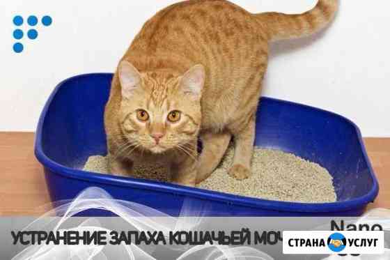 Удаление запахов Новороссийск