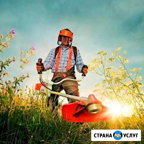 Покос травы Северская - изображение 1