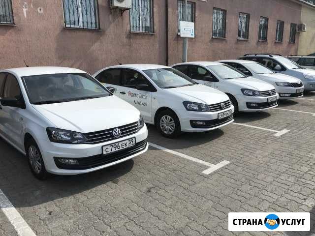 Аренда Авто, автопрокат, такси, работа Калининград - изображение 1