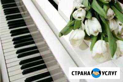 Уроки игры на фортепиано,синтезаторе Самара