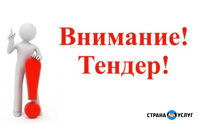 Тендер с нуля Сургут - изображение 1