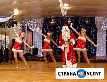 Дед Мороз ведущий Саксофонист на дом корпоратив Москва