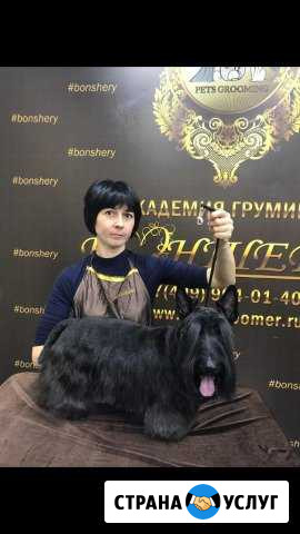 Груминг собак Владимир - изображение 1