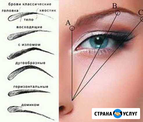 Мастер-бровист новейшие техники обучение Новокузнецк - изображение 1