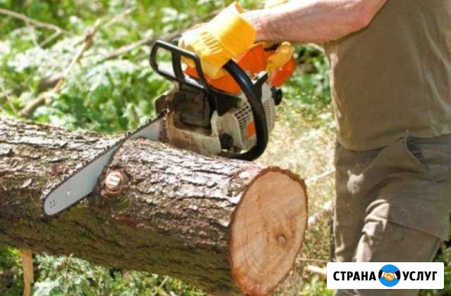 Спил деревьев Фастовецкая - изображение 1