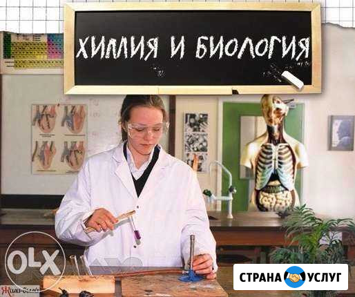 Репетитор по химии и биологии Вологда - изображение 1