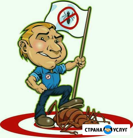 Уничтожение клопов и тараканов Талдом - изображение 1