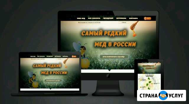 Разработка сайтов под ключ/Поддержка и Продвижение Воронеж - изображение 1