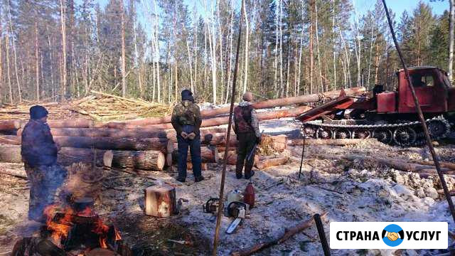 Лесозаготовительная бригада ищет работу на услугах Абан - изображение 1