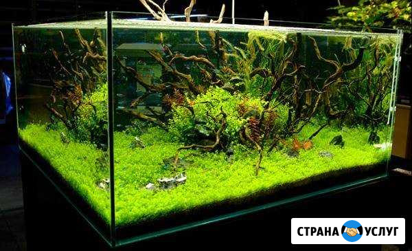 Аквариумы и террариумы Дятьково - изображение 1