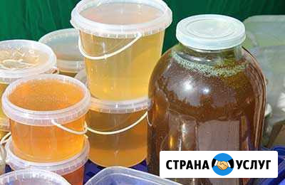 Мёд Мурманск - изображение 1