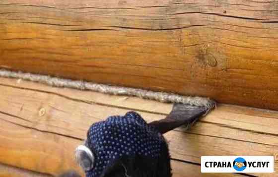 Утепление. Проконопатим, пропеним Абакан