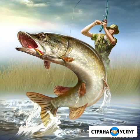 Отдых и рыбалка в Дельте на 2018 г Оранжереи - изображение 1