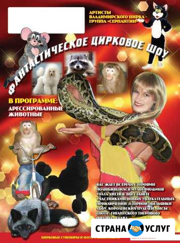 Праздник с Цирком Ковров - изображение 1