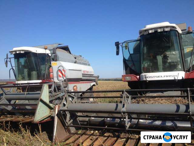 Уборка зерновых Новохоперск - изображение 1