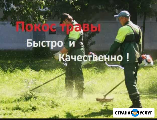 Покос травы и спил деревьев Тимашевск - изображение 1