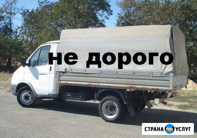 Вывоз мусора Петрозаводск - изображение 1