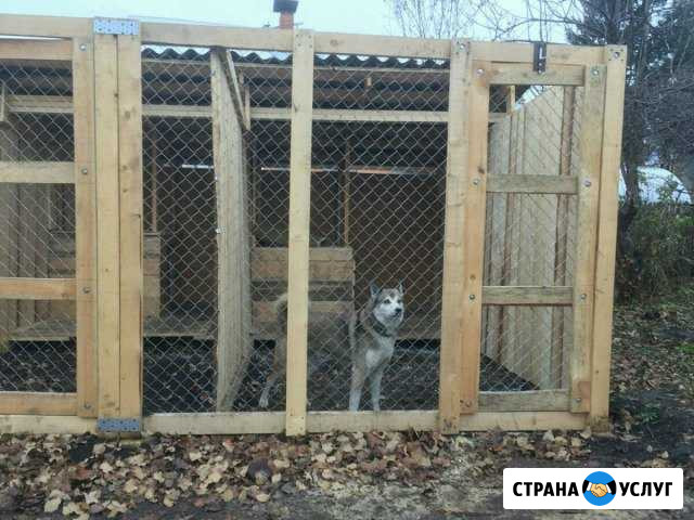Гостиница для собак Уфа - изображение 1