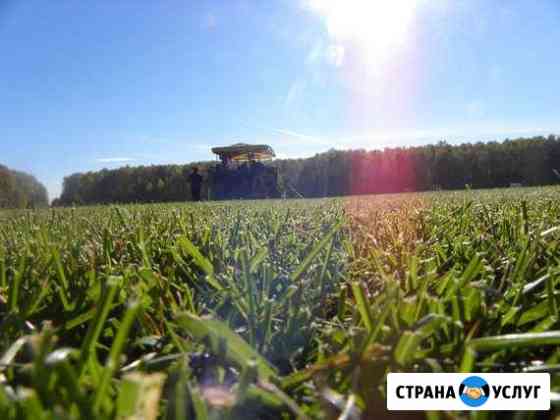 Рулонный и посевной газон. Продажа и укладка Москва