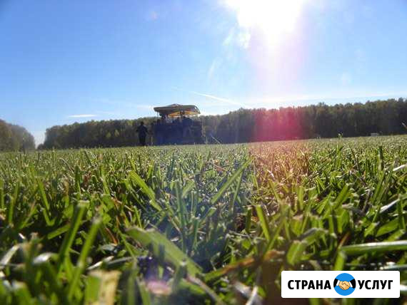 Рулонный и посевной газон. Продажа и укладка Москва - изображение 1