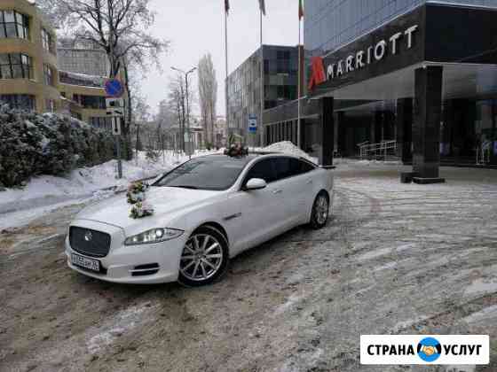 Jaguar xj long Premium Luxury на свадьбу, в родом Воронеж