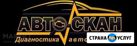 Компьютерная диагностика авто инжекторных авто Ряжск - изображение 1